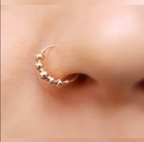 gold nose rings 2