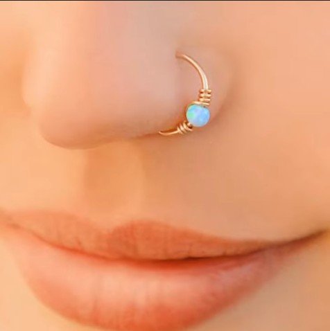 gold nose rings 24