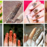 Fingers Mehndi Designs 2023