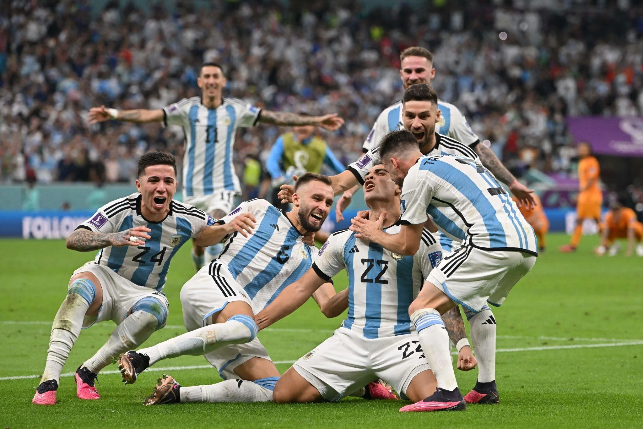 fifa world cup